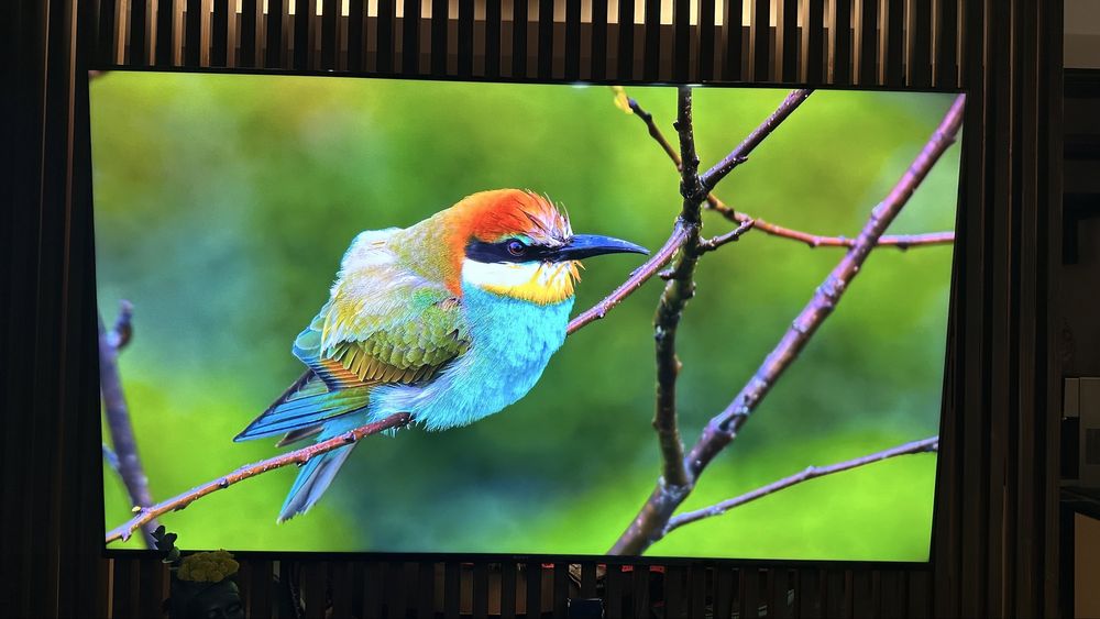 Vand tv Sony 75x93J 189 cm diagonala