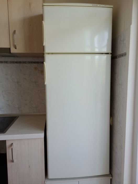 Snaige хладилник с фризерна част