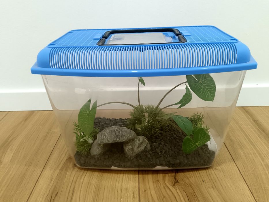 Acvariu cu accesorii incluse-capacitate 6L