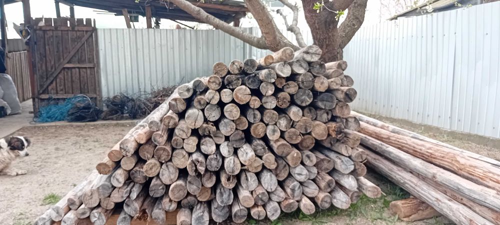 Lețuri de brad uscate 4 metri 20