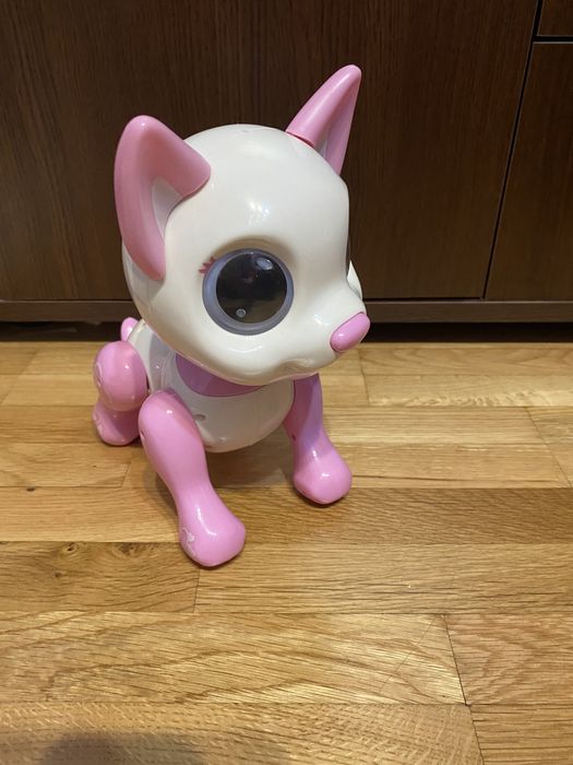 Музикално коте и играчки животни