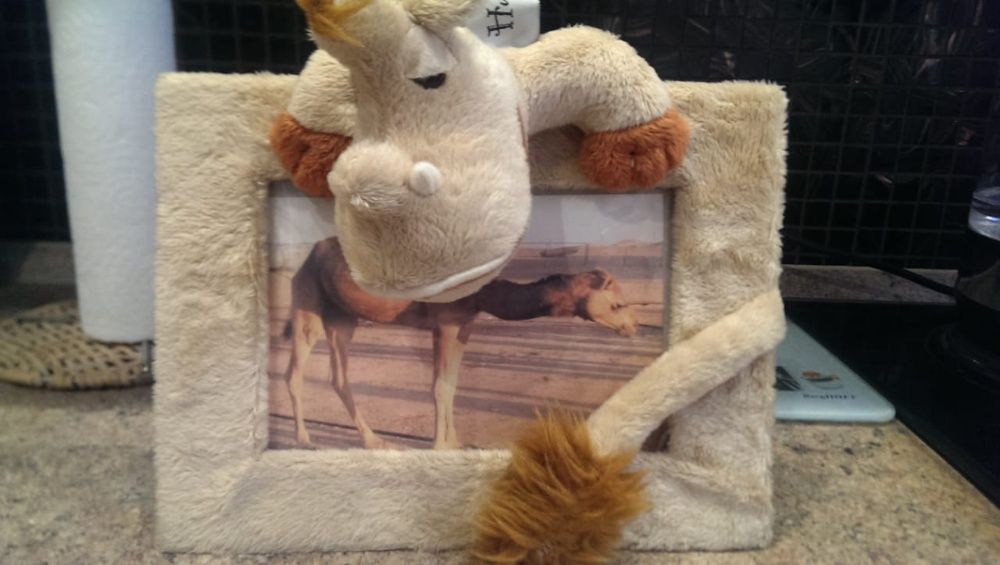 Рамка для фотографии