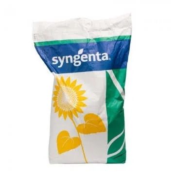 Sămânță de floarea soarelui Syngenta