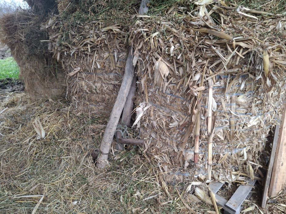 Baloți de tulei de vânzare