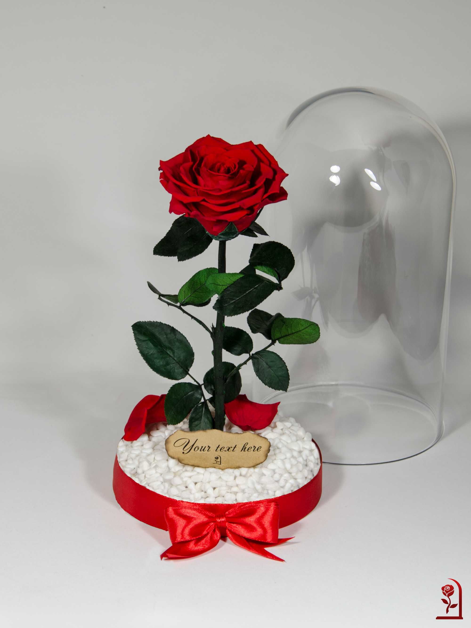 Естествена Вечна Роза в Голяма Стъкленица / Луксозен Подарък за Жена