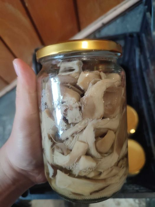 гъби буркани прясна замразена суха манатарка сърнела сладко консерва