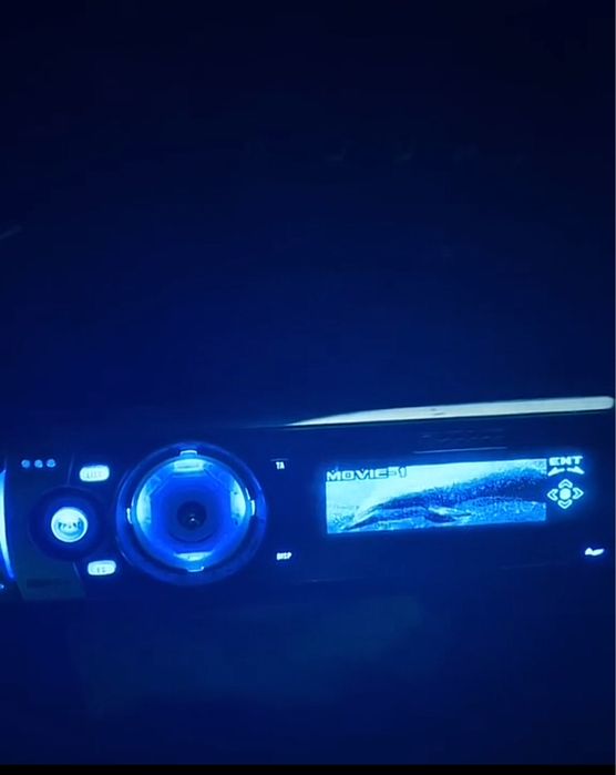 пионер дельфин блютуз есть оригинал