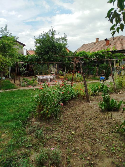 Casă de vânzare în Grădiște
