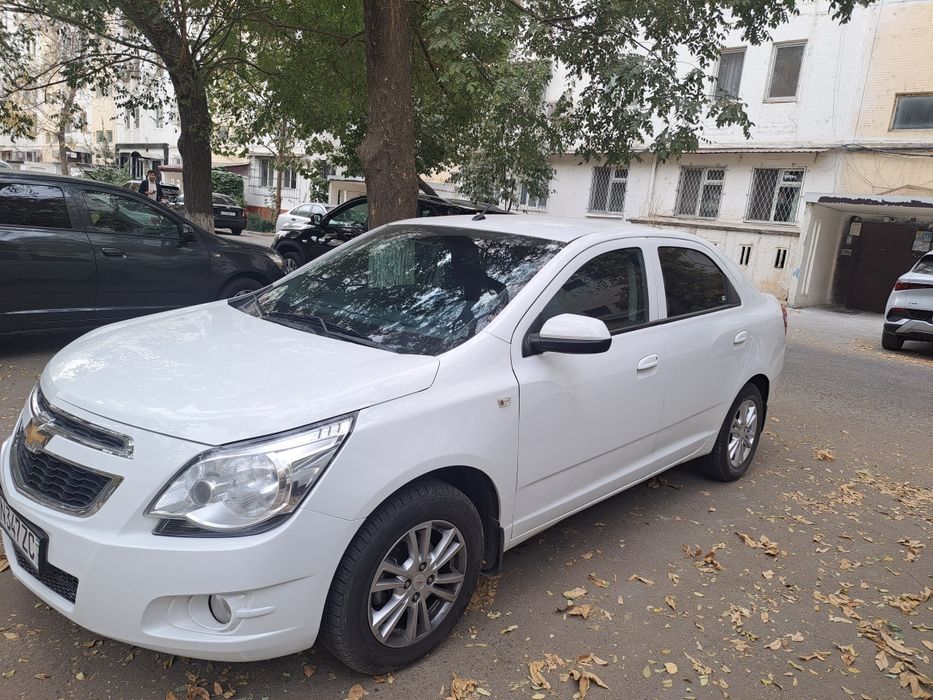 Кобольт 2023 йил 55000 краска тоза сотилади