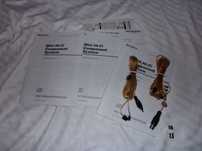 Antene FM Sony Originale