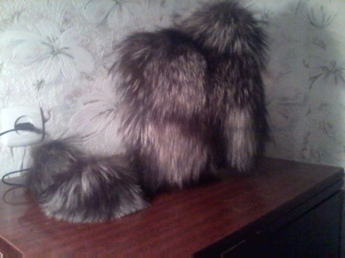 Продам шапку(песец )