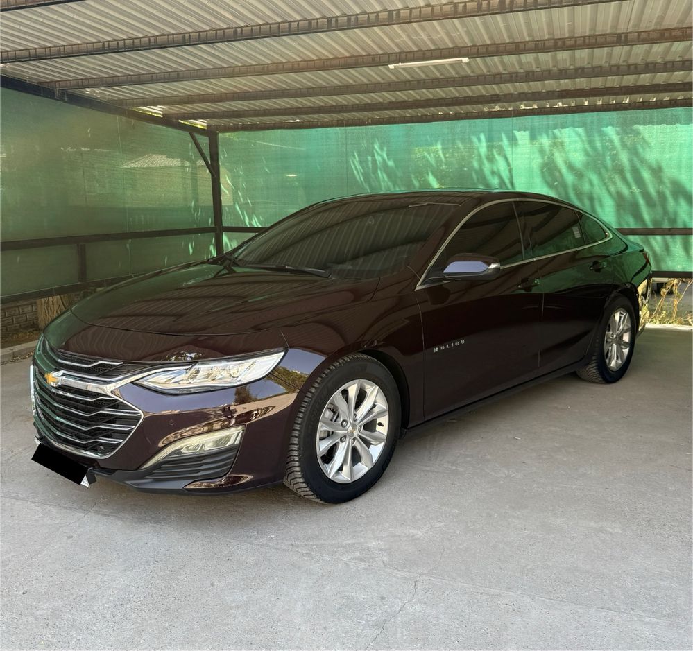 Malibu-2 Premier 2022 ideal Black Burgundi