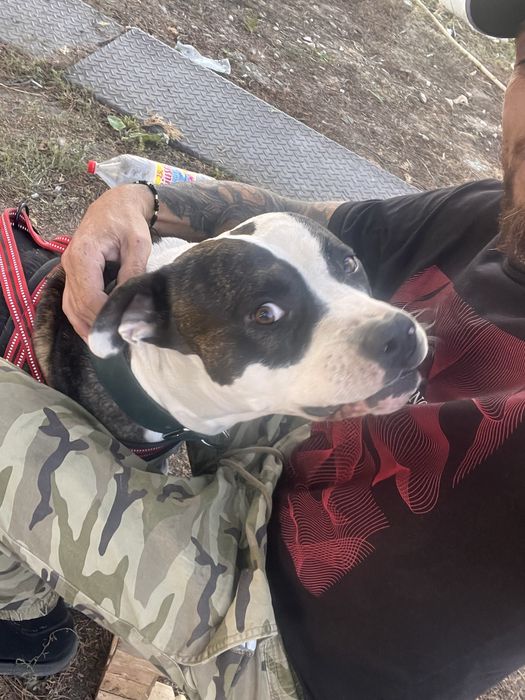 Vand sau schimb cu bmw