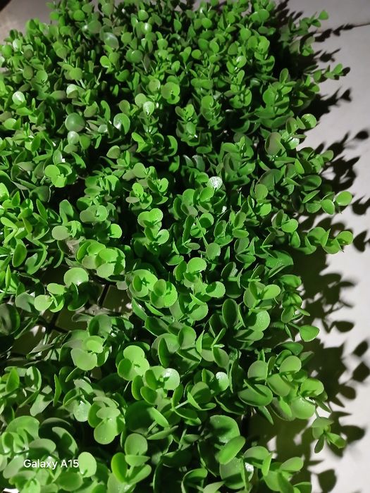 Искусственый газон для декорация