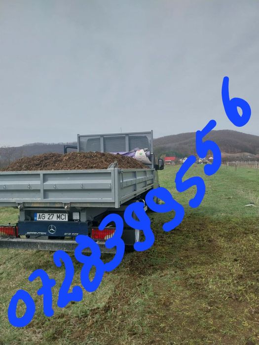 Moluz debarasari cele mai mici preturi