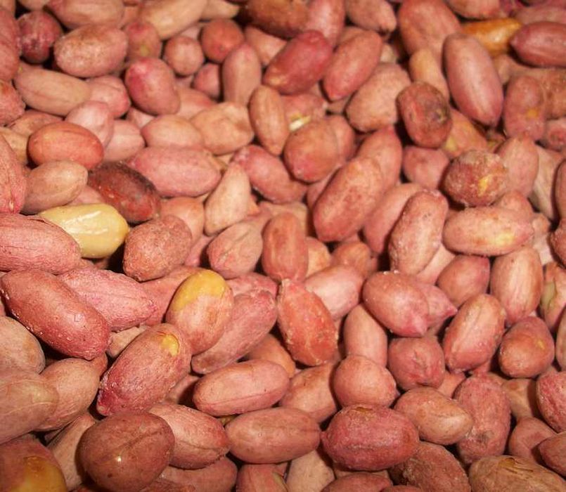 Semințe de alune de pământ - Arahide