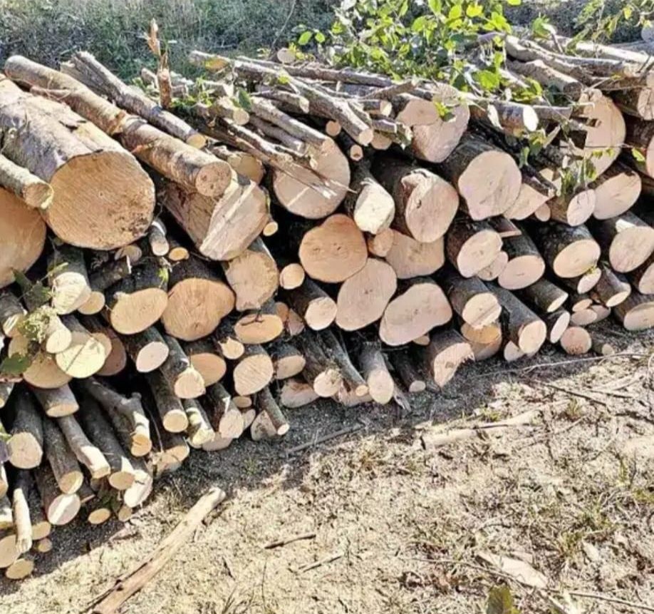 Vând lemn de foc esență tare