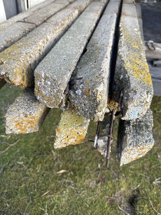 Vand spalieri 15 lei bucata