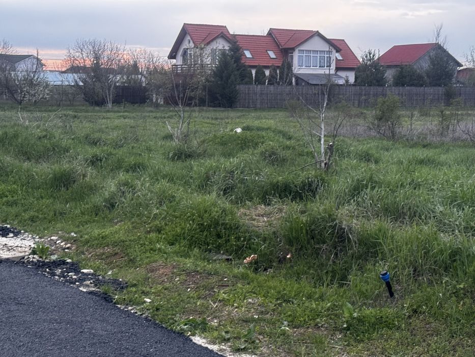 Vand lot 1500 mp strada Spicului Domnesti ilfov ,