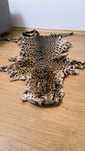 blana leopard naturala