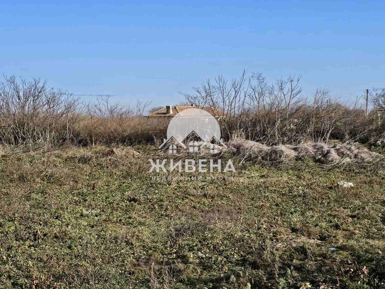 Парцел в с.Божурец, обл. Добрич, площ 3498 кв.м