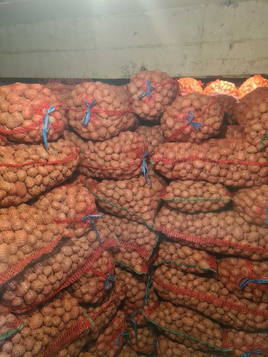 Cartofi de samante alb si rosu