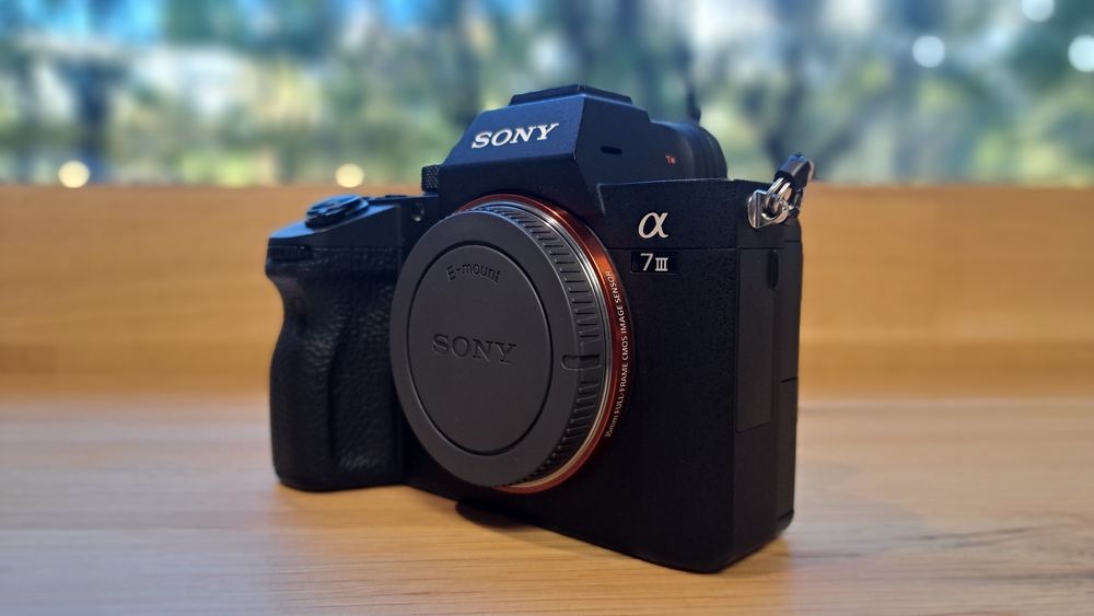 Sony a7 III - 6100 cadre