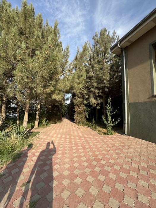 Продаётся Дача в Сырдаринском области