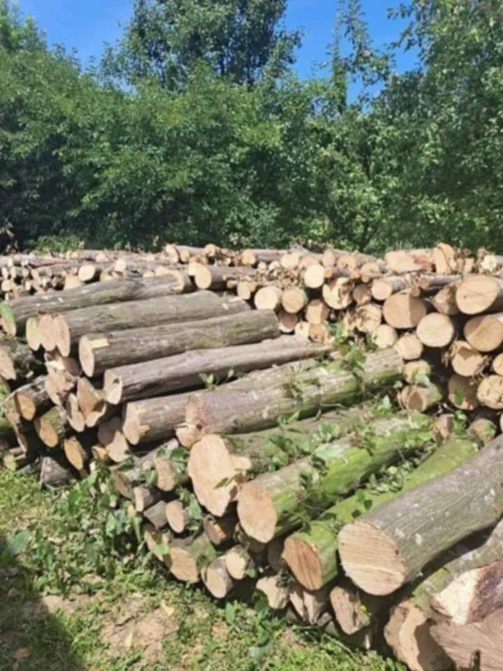 Lemne pentru foc