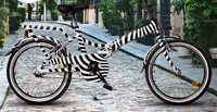 Bicicleta Torpedo pliabila tip zebra