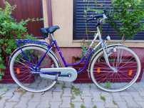 Bicicleta dama Lady vintage Mov Pegasus
