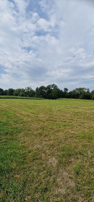 Terenuri intravilane alăturate 30 ari si 26 ari ideal casă sau arabil