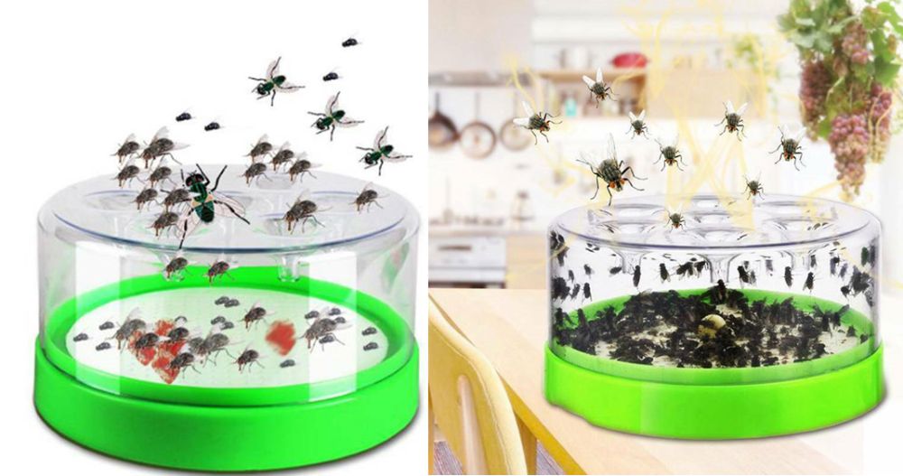 Capcana muste. Noua ambalata!