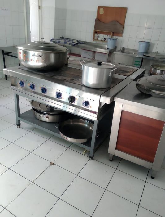 Печки, люстры, водонагрев.ли, эл.духовки, фритюрницы, все эл. чиню