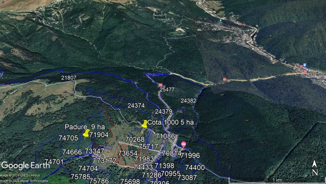 Cota 1000 Sinaia intravilan  50.000 mp