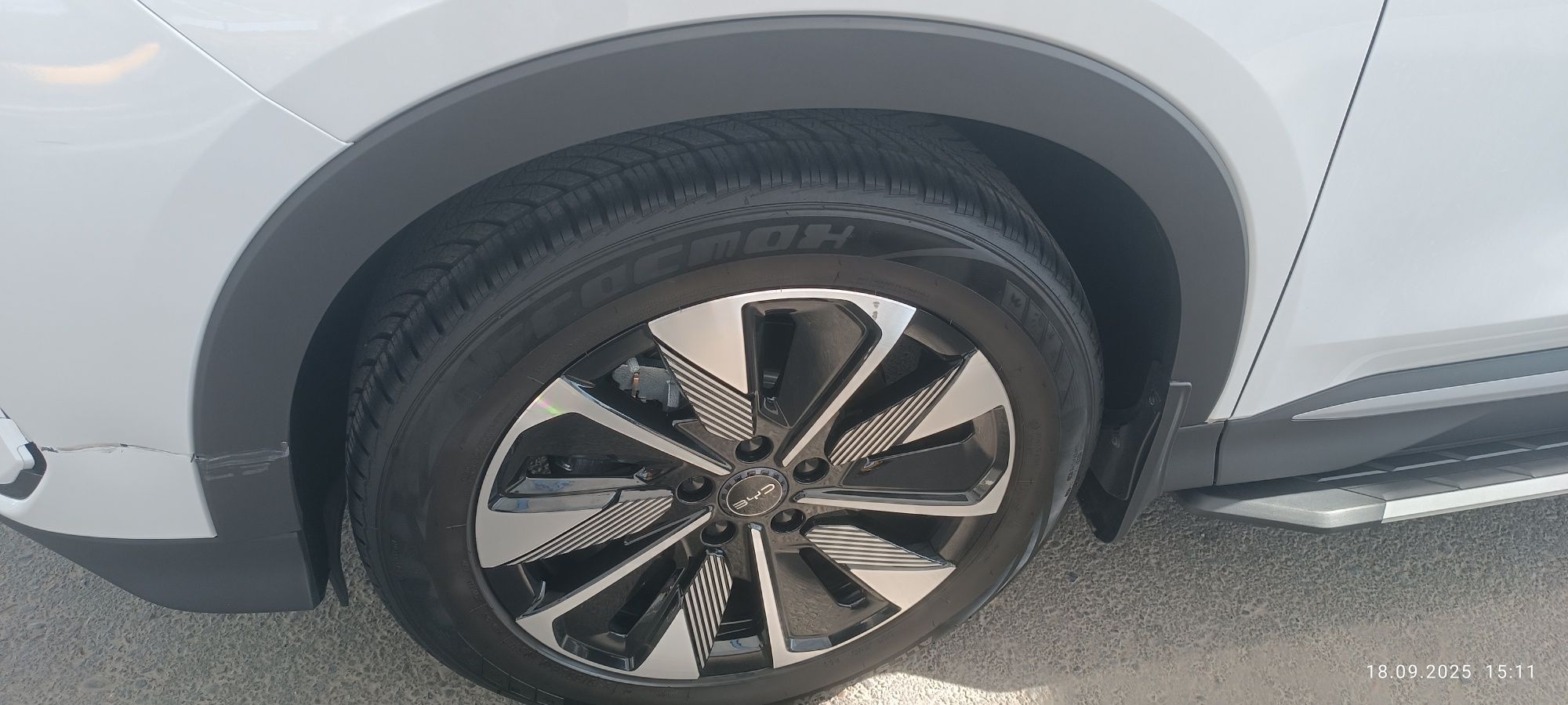 Byd chempion reystaling 2025