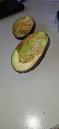 Coji de avocado de vanzare