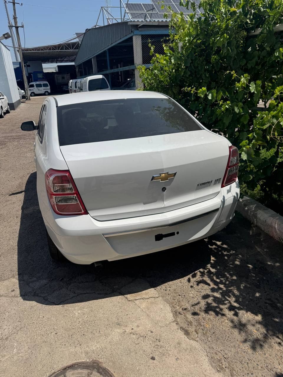 Cobalt gx-stayl full