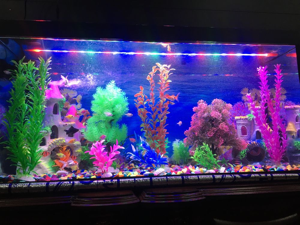 Akvarium tayyor sotiladi hammayogi bilan yangi hamma narsasi