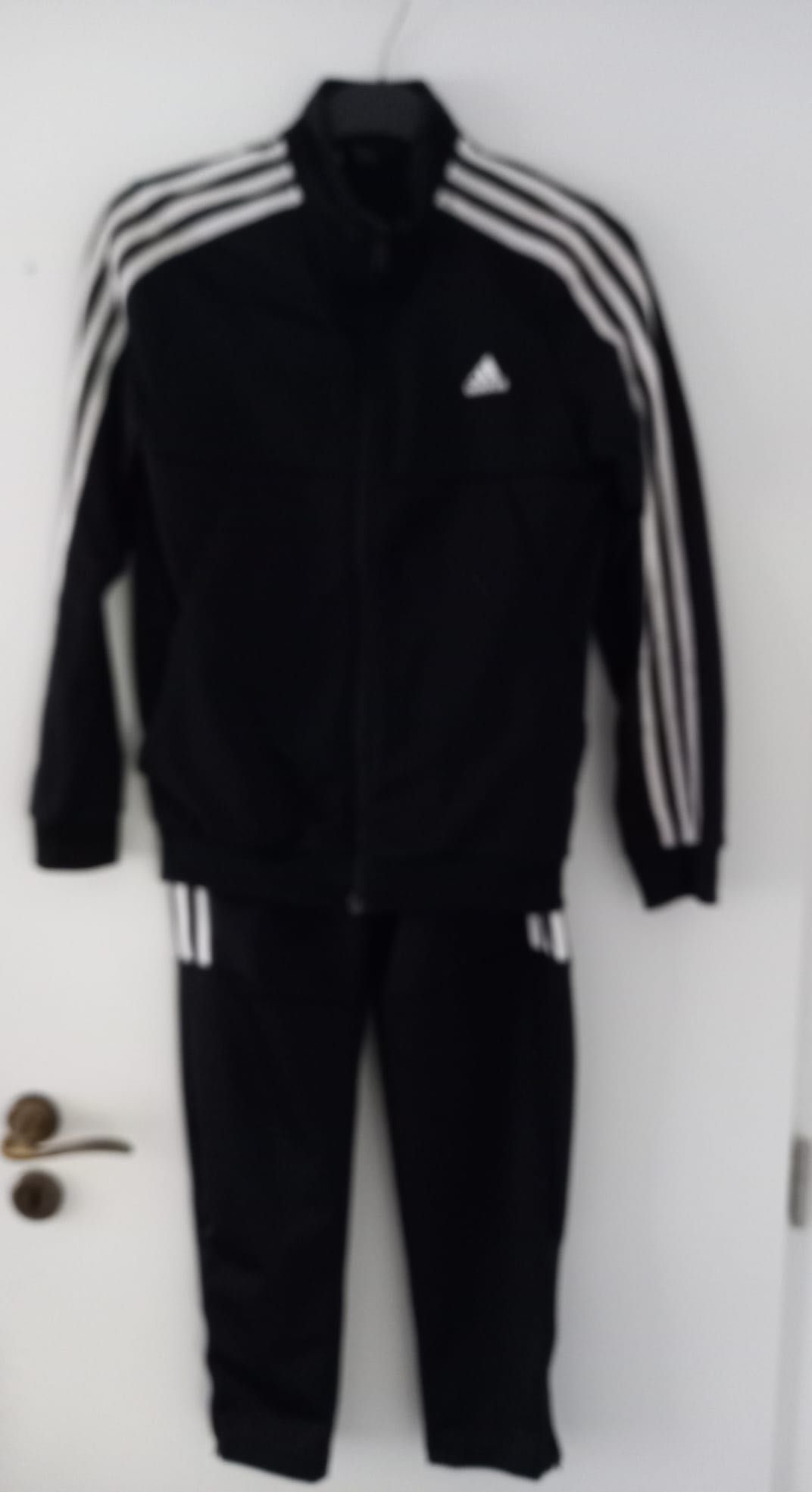 trening Adidas bluza