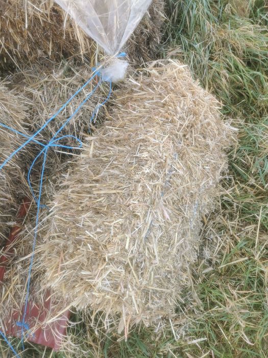 Vând baloți de paie