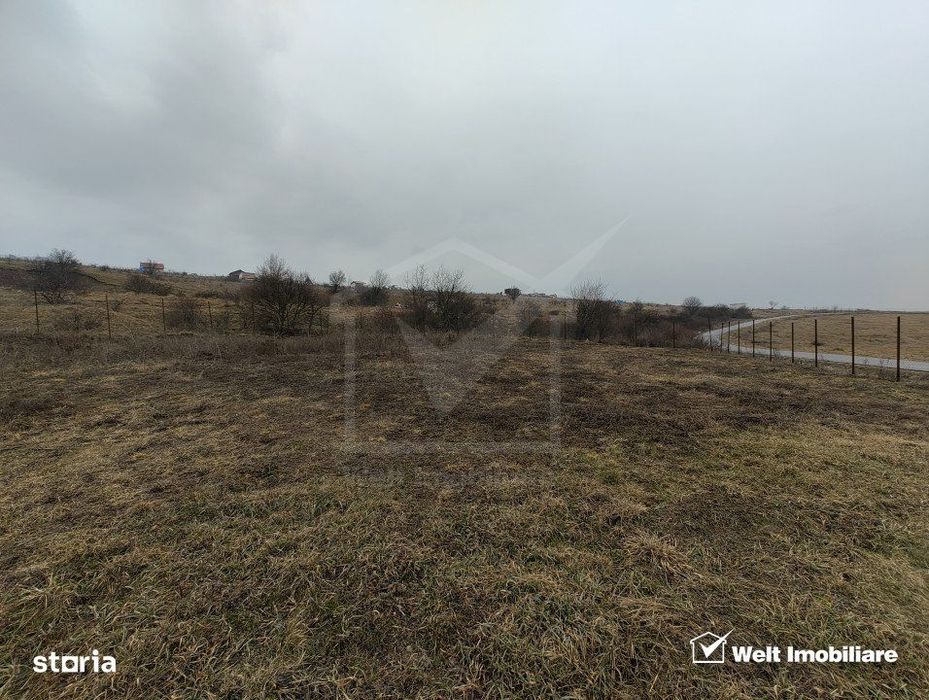 Teren intravilan in Chinteni – investitie (Necesita PUZ)