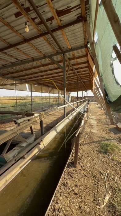 Продаётся готовый бизнес + 27 соток земли