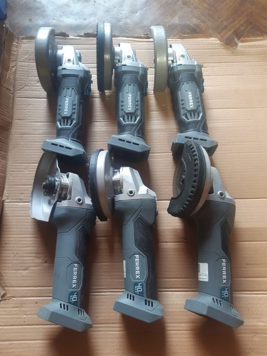 Ferrex filetanta