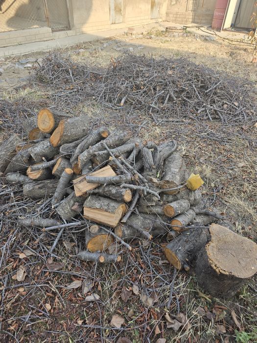 Продам дрова, спиленная вишня
