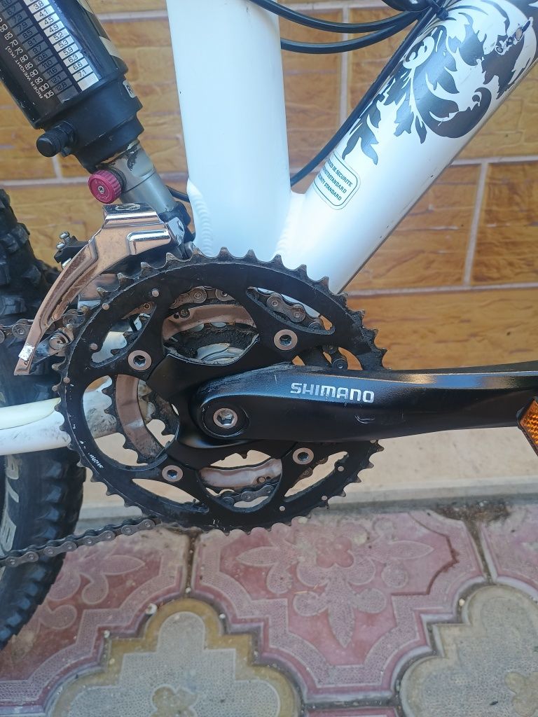 Scott 26 цола    .