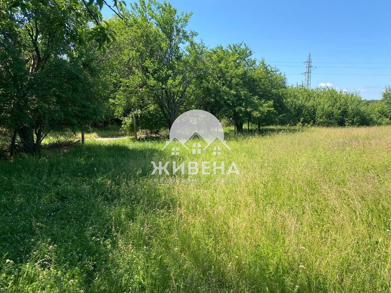 Продава се Парцел в с. Господиново, Област Варна - 1350 кв.м за 12 €/кв.м - Снимка #7