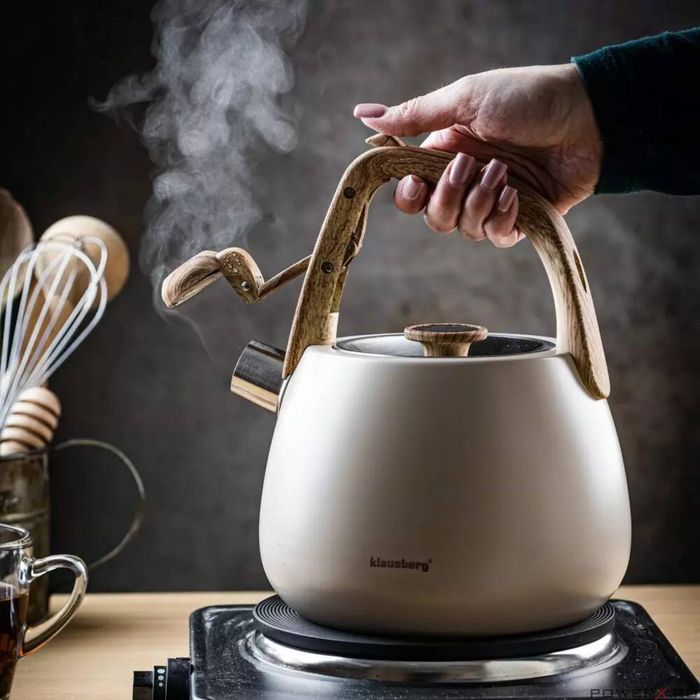 Ceainic, fierbator cu fluierat din otel inoxidabil, alb, cu maner din