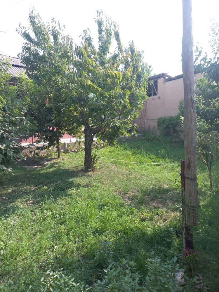 Продаётся дом 6 соток Феруза, Агрошкола, Мирзо Улугбекский рн