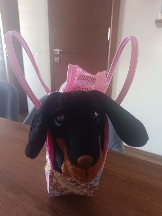 Куче в чанта Donna Chichi